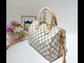 LV Speedy 30- PRE-ORDER ITEM
