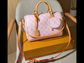 LV Speedy 30- PRE-ORDER ITEM